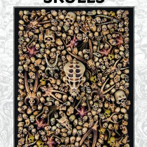 Citadel: Skulls 64-29